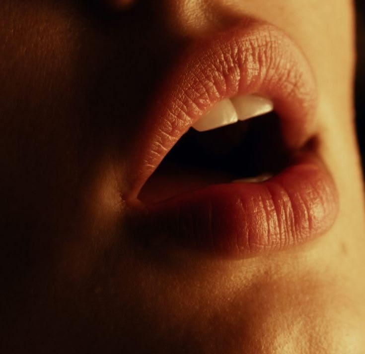 Realistic Dildo vs. Vibrator: What's the Difference?