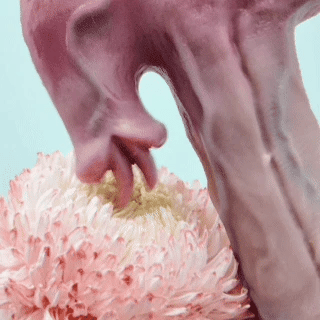 HeatSkin dildos product image 5