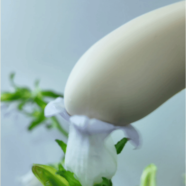 LoveSong accessories product image 4