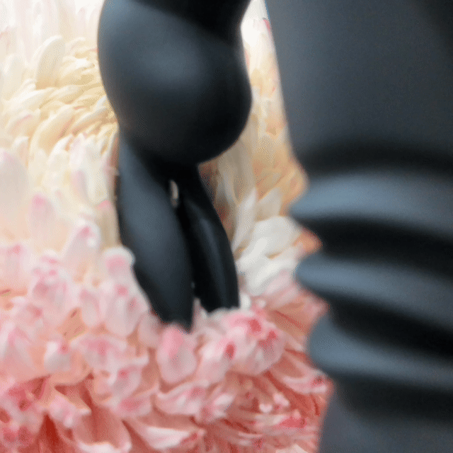 NoirMuse rabbit vibrators product image 6