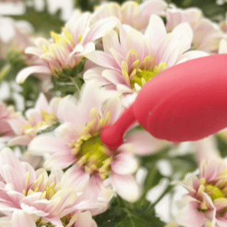 ScarletKiss clitoral stimulators product image 3