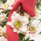 ScarletKiss clitoral stimulators product image 1