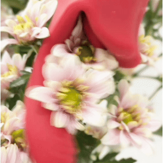 ScarletKiss clitoral stimulators product image 1