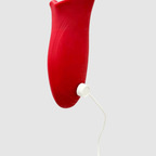 ScarletKiss